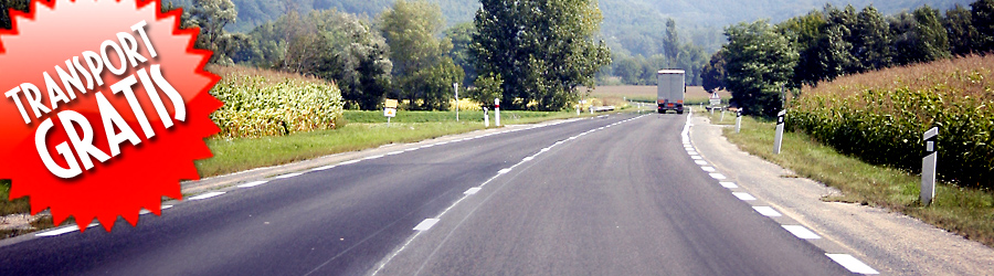 Bezpłatny transport